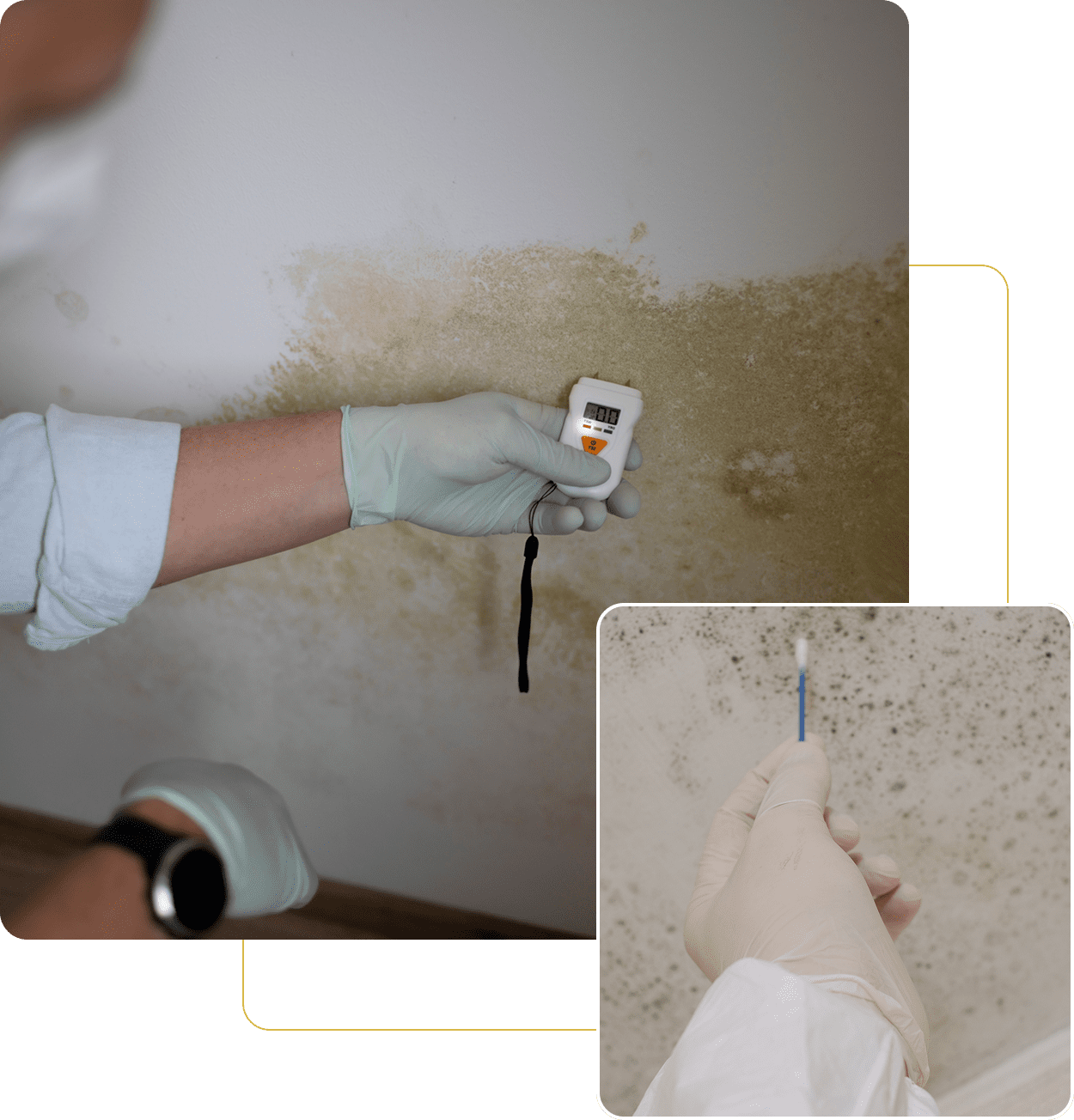 Mold inspection on wall with testing device.