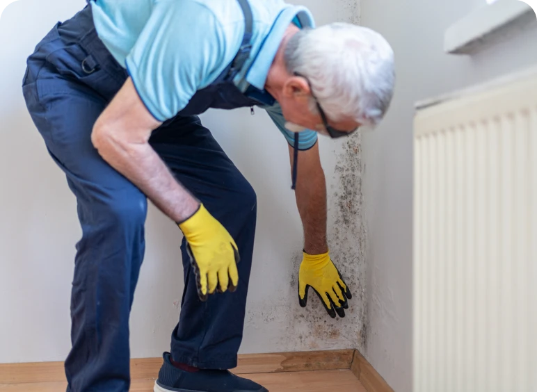 Man inspecting mold on a wall.