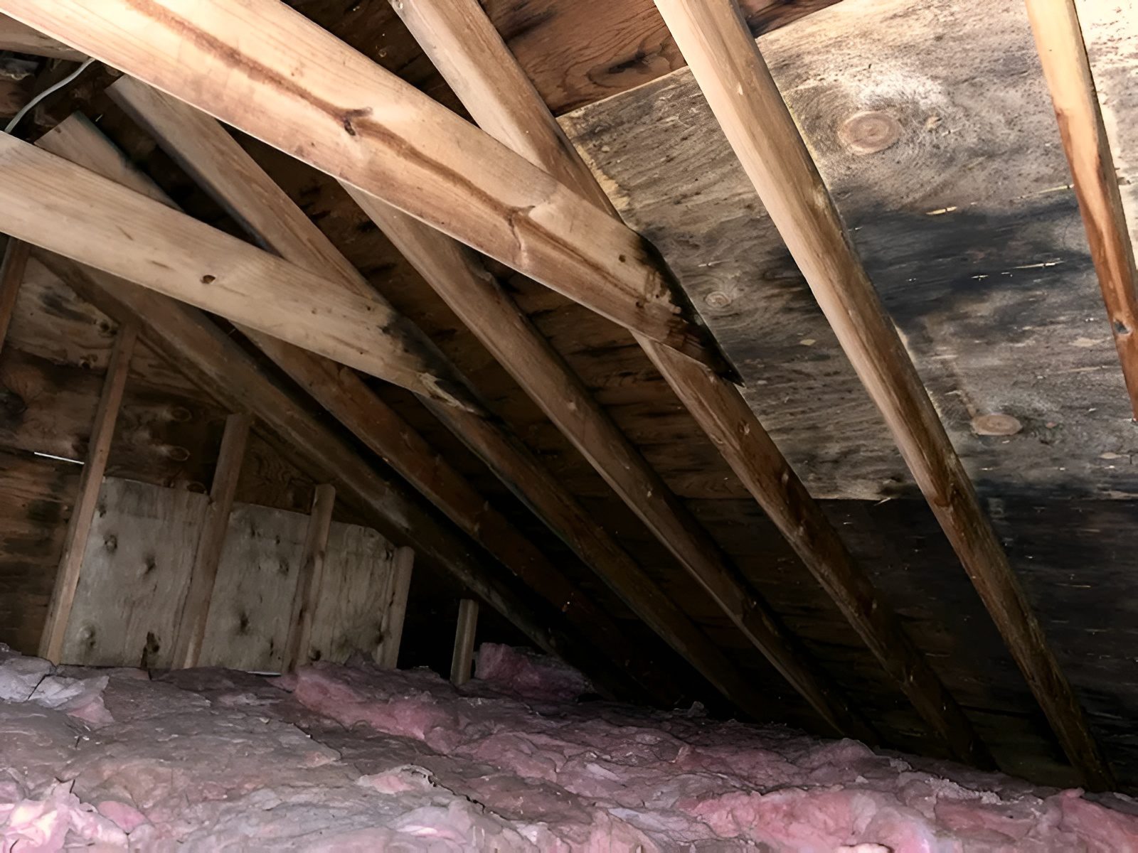 Attic with exposed wooden rafters and pink insulation