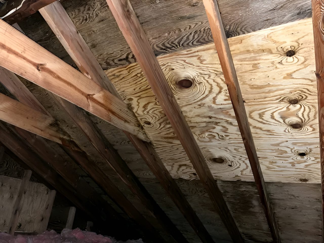 Exposed roof rafters and plywood sheathing